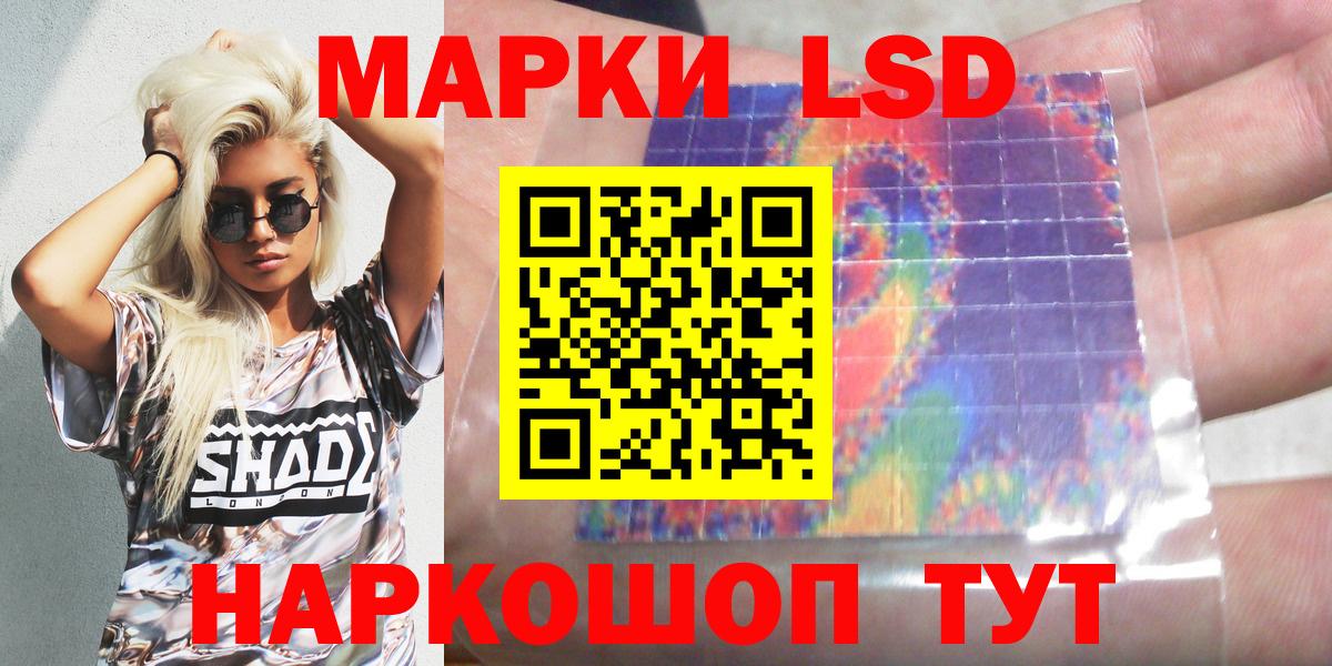 Наркотические марки 1500мкг  Наркотические марки 1500мкг  Димитровград  Вход с VPN 