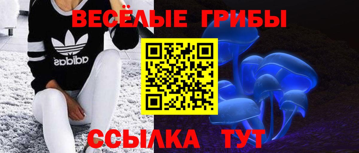 Псилоцибиновые грибы мицелий Димитровград