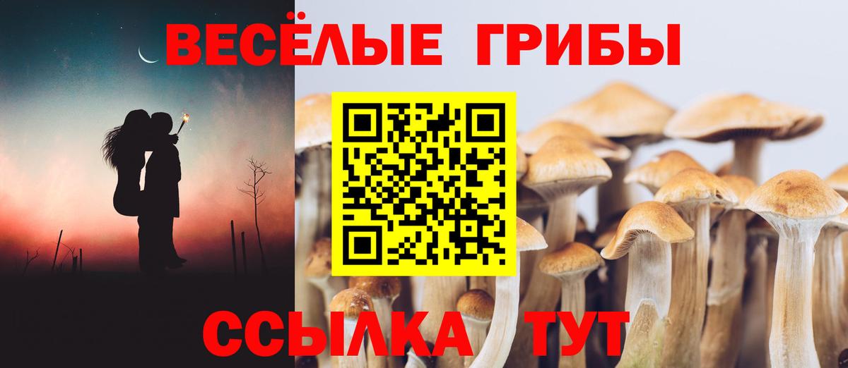 Бутират Димитровград